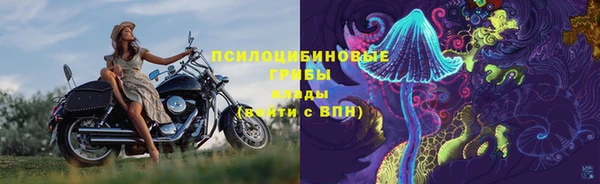 apvp Протвино