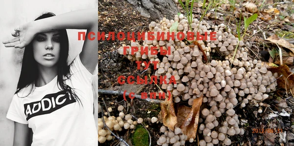 прущая мука Покров
