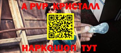 прущие грибы Будённовск