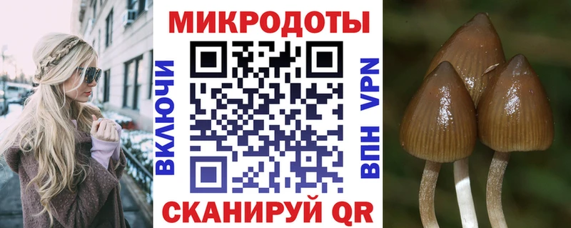 цена наркотик  Тверь  мориарти какой сайт  Псилоцибиновые грибы Magic Shrooms 