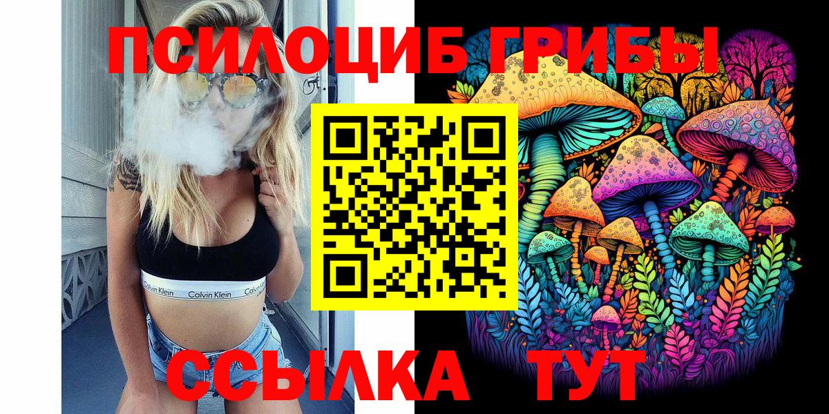 Псилоцибиновые грибы Psilocybe  Тверь 