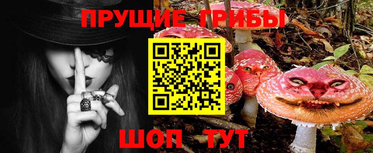 Галлюциногенные грибы Magic Shrooms Тверь